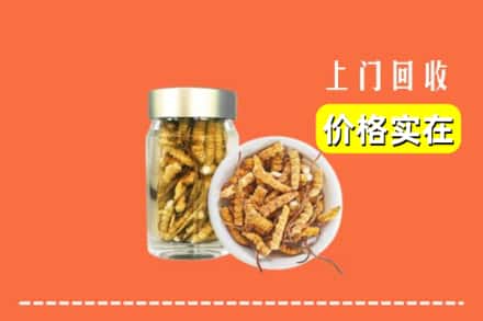 收购资讯:巴彦淖尔市乌拉特后旗回收散虫草