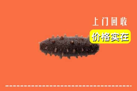 收购资讯:巴彦淖尔市乌拉特后旗回收海参