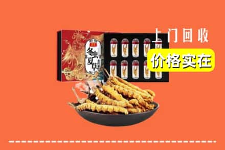 巴彦淖尔市乌拉特后旗回收虫草